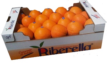 arance di ribera - produttore dop ribera
